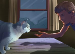 تشخیص جنسیت گربه