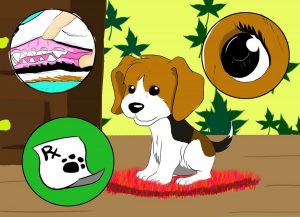 راهنمای خرید توله سگ سالم