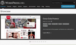 چگونگی ایجاد یک وبلاگ یا وب سایت سودمند با استفاده از وردپرس