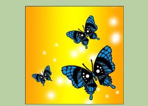 آموزش ایجاد یک پروانه با استفاده از فتوشاپ