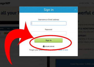 نحوه مدیریت وبلاگ های وردپرس با ManageWP.Com