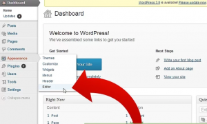چگونه تصاویر و فیلم ها را در وردپرس به صورت واکنشگرا (Responsive) قرار دهیم