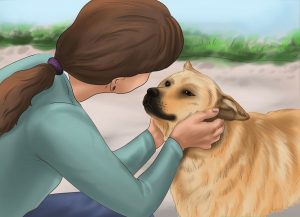 پیدا کردن مشکل خواب سگ