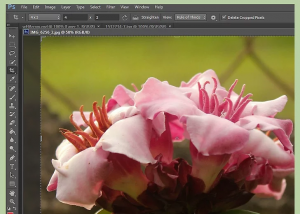 آموزش اضافه کردن فیلتر ها به فتوشاپ