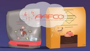 انتخاب و خرید غذای مناسب برای سگ