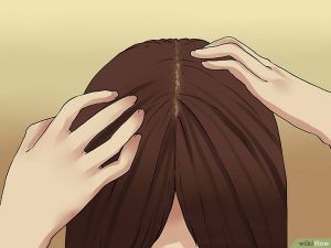 چگونه به سرعت رشد مو به طور طبیعی کمک کنیم؟