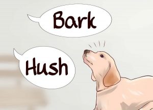 آرام کردن سگ و جلوگیری از پارس کردن