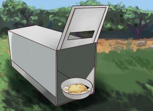 چگونگی ساخت تله گربه-آموزش گام به گام ساخت تله گربه