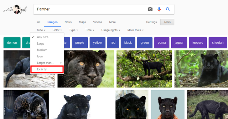 انتخاب گزینه "exactly" برای دانلود تصاویر با اندازه مشخص در گوگل
