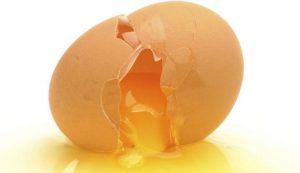تهیه روغن تخم مرغ و خواص آن