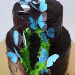کیک تولد دخترونه بزرگسال شکلاتی دو طبقه