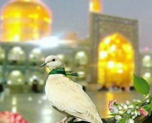 تعبیر خواب امام رضا (ع) و زیارت آن حضرت