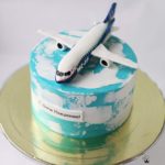 کیک تولد هواپیما ،پسر نوجوان