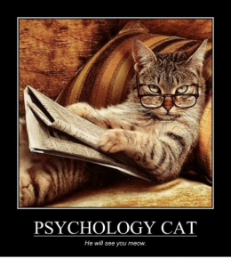 با مطالعه روانشناسی گربه ها بهتر این حیوانات را بهتر بشناسیم