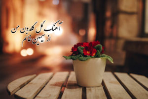 دانلود آهنگ گل گلدون من از سیمین غانم به همراه متن آهنگ