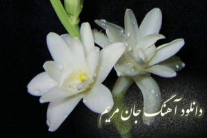 دانلود آهنگ جان مریم با صدای ویگن همراه با متن آهنگ