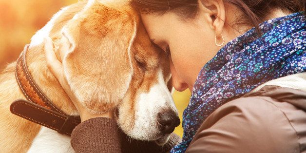 بیماری افسردگی تان را با نگهداری حیوانات خانگی درمان کنید