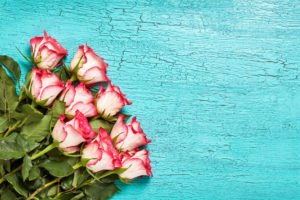 مجموعه فوق العاده عکس پروفایل گل (عاشقانه و رومانتیک)