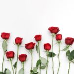 عکس گل رز قرمز برای پروفایل