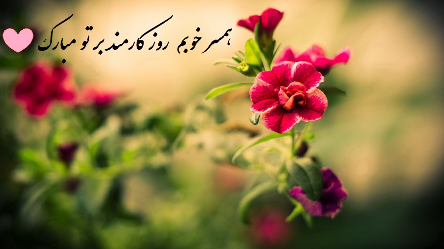 عکس نوشته روز کارمند به همسر
