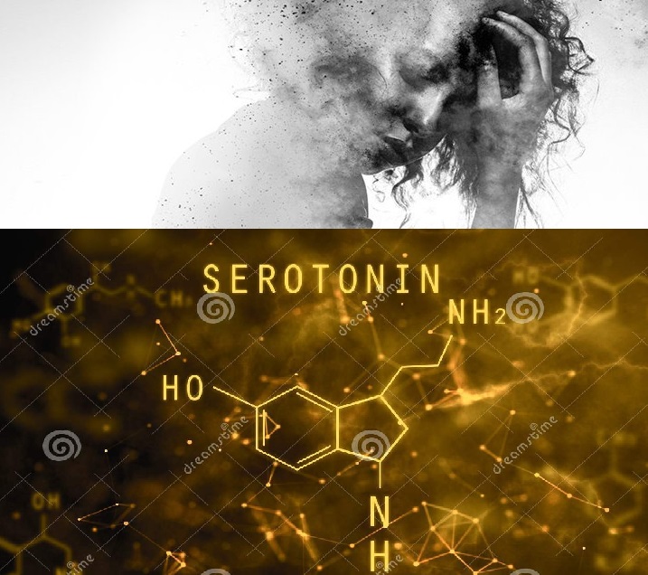 همه چیز درباره ارتباط سروتونین و افسردگی و معرفی منابع طبیعی سروتونین