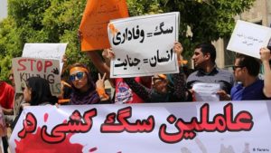 سرنوشت سگ های کهریزک از مجازات خاطیان تا تصویب قانون منع حیوان آزاری