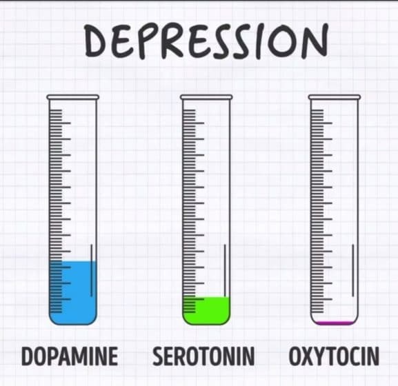 ارتباط کاهش سروتونین و افسردگی