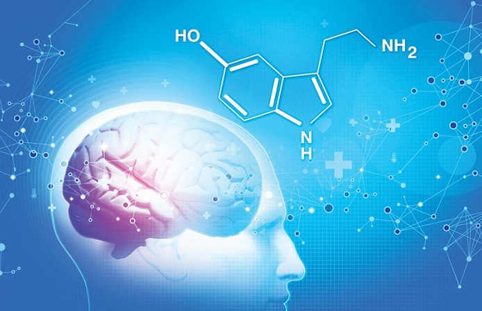 ارتباط سروتونینو افسردگی: تأثیر سروتونین بر عملکرد مغز
