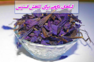 برای کاهش استرس چه بخوریم؟ معرفی 20 گیاه دارویی برای کاهش استرس