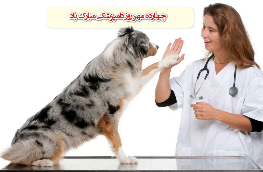 تبریک روز دامپزشک با عکس نوشته جدید