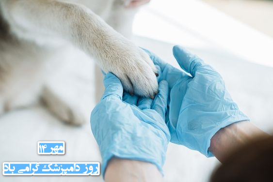 عکس نوشته روز دامپزشک برای پروفایل