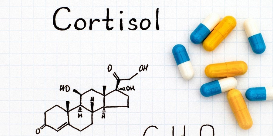 هورمون کورتیزول (Cortisol) در بدن ما چه می کند؟ چگونه هورمون کورتیزول را کاهش دهیم؟