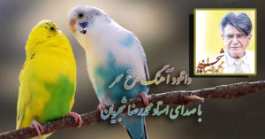 دانلود آهنگ مرغ سحر ناله سر کن با صدای محمدرضا شجریان با کیفیت بالا