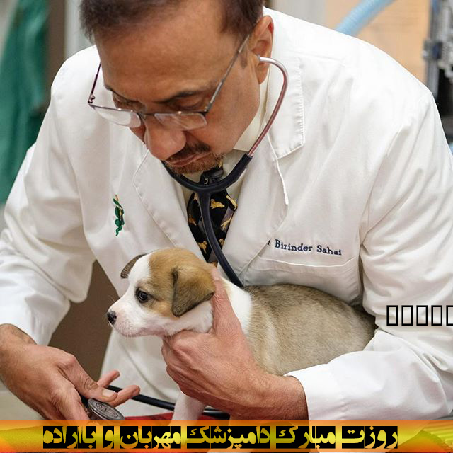 عمس متن دار دامپزشک روزت مبارک