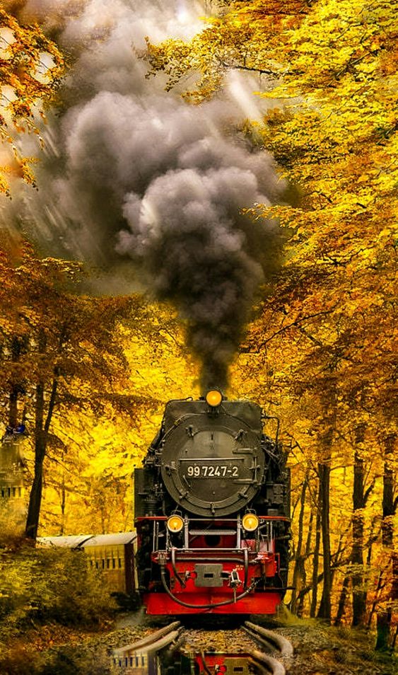 عکس قطار در جنگل پاییزی برای پس زمینه موبایل