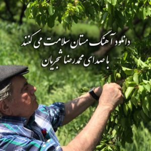 دانلود آهنگ “مستان سلامت می کنند” با صدای محمدرضا شجریان + متن کامل