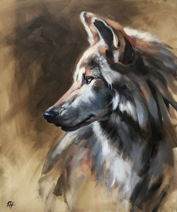 عکس نقاشی سیاه قلم گرگ