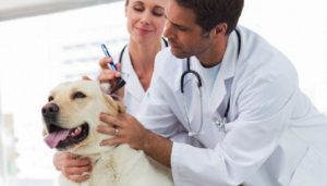 تقویم رویدادهای امروز 14 مهر و وقایع مهم تاریخی این روز