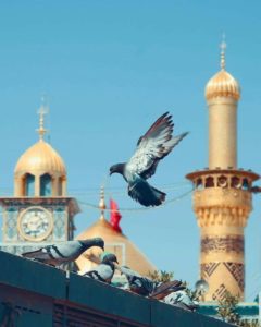 متن تسلیت شهادت امام رضا (ع) جدید سال 1404