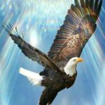 بک گراند عقاب با کیفیت برای موبایل