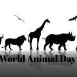 روز جهانی جانوران