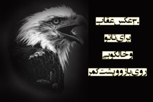 30 عکس عقاب برای تاتو و خالکوبی روی بازو و پشت کمر