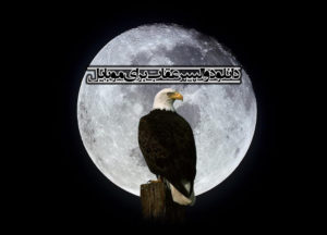 دانلود والپیپر عقاب برای موبایل با کیفیت full HDبرای دوستداران این پرنده