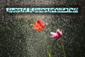 دانلود آهنگ تو که بارونو ندیدی گل ابرارو نچیدی قمیشی همراه با متن