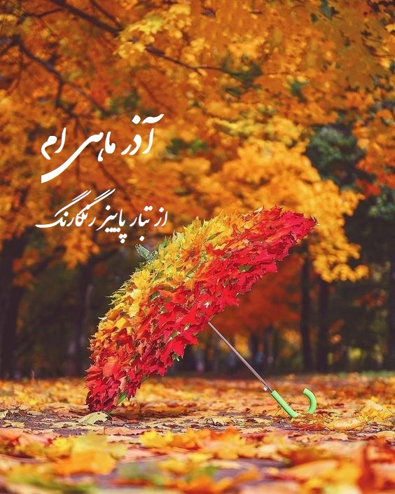 عکس نوشته آذر ماهی ام