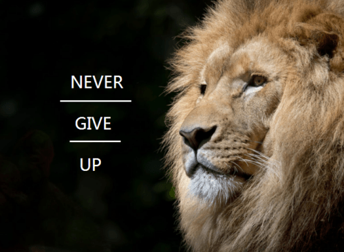 never give up