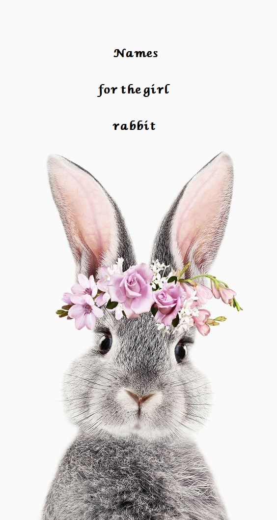 انتخاب اسم برای خرگوش دختر