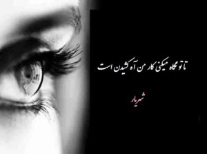 تا تو نگاه میکنی کار من آه کشیدن است (شهریار)