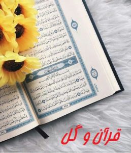 بیش از 60 عکس قرآن و گل برای پروفایل و استوری همچنین پس زمینه گوشی