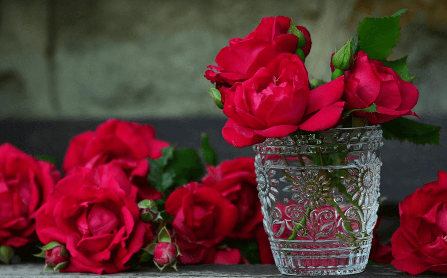 بک گراند گل رز قرمز برای گوشی